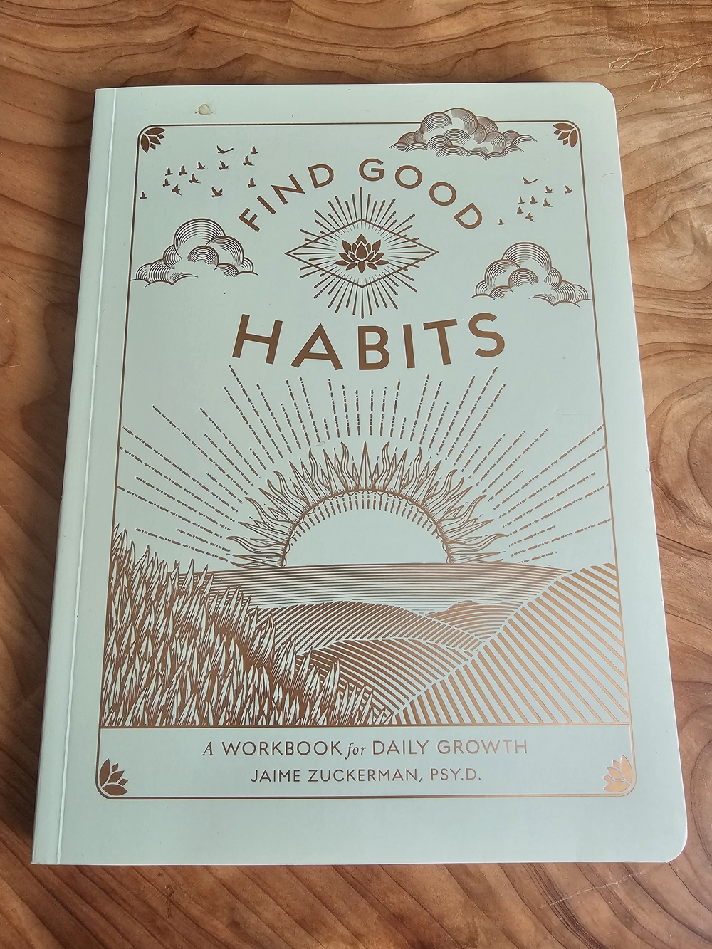 Find Good Habits Hardcover Workbook - Mint - Picture 2 of 3
